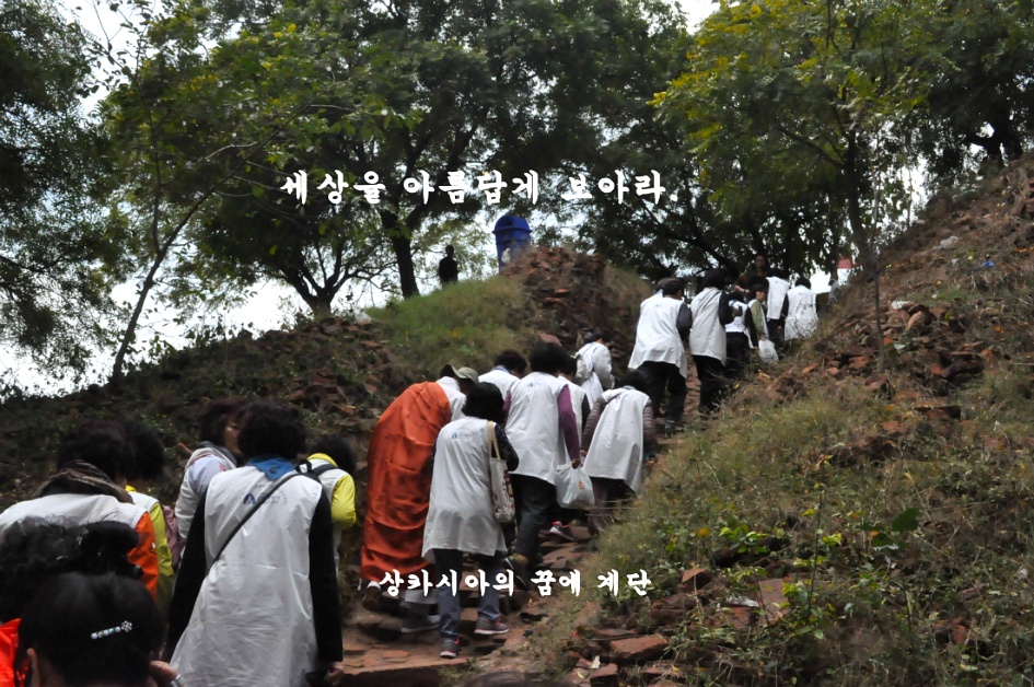 부처님나라 천축국. 불교 8대성지 상카시아 꿈의 계단.