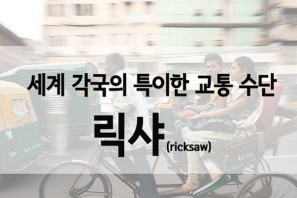 세계 각국의 특이한 교통 수단