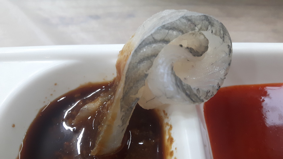  ( 2019 - 제 24호 )  부산 동래구 맛집 [ 일만오천횟집의 돌솥밥 상차림과 봄도다리회 ]