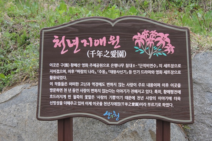 원본이미지(클릭)
