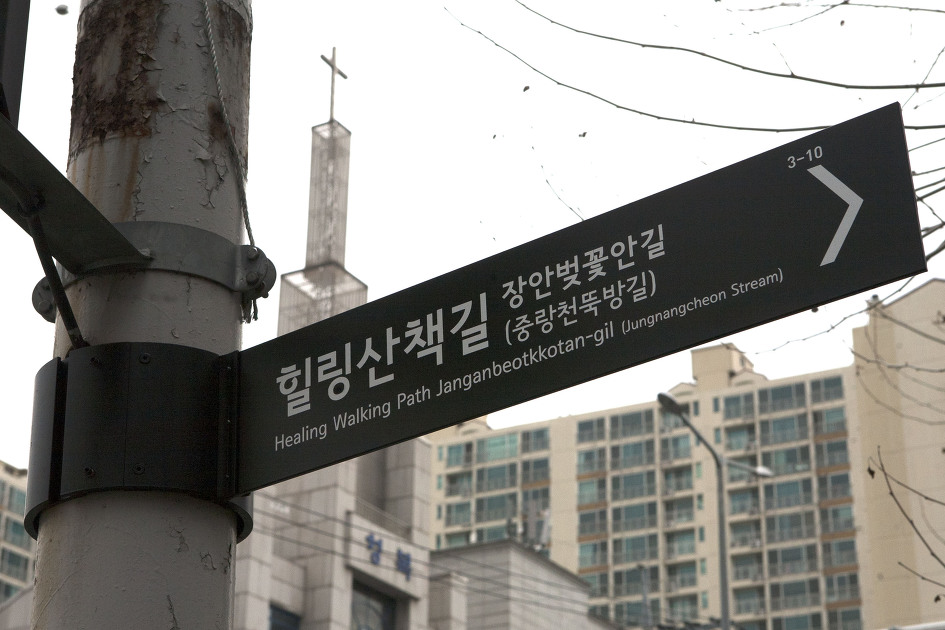 2019동대문봄꽃축제