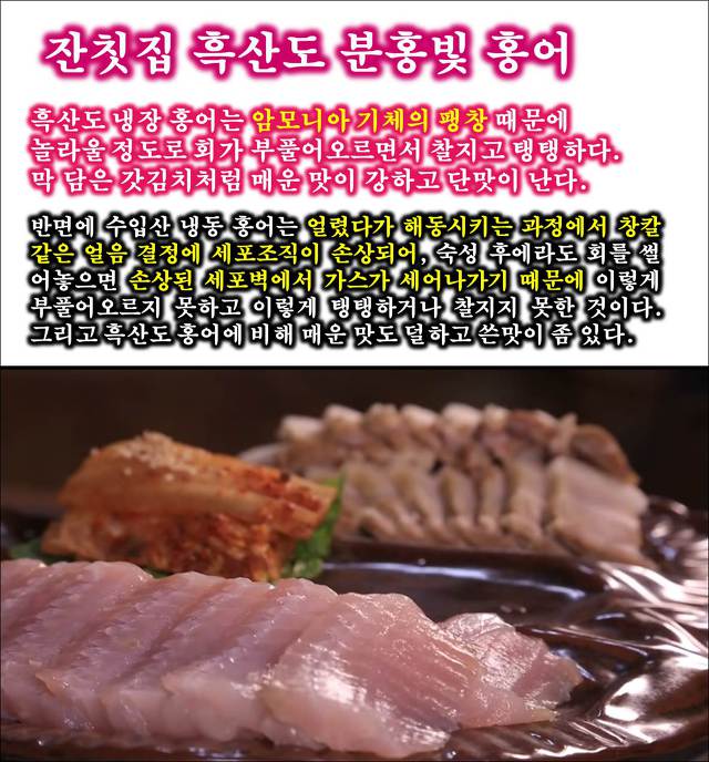 ★★ 전라도 홍어가 대구 경북 대한민국을 살릴 수 있다- [2부] | 보배드림 자유게시판