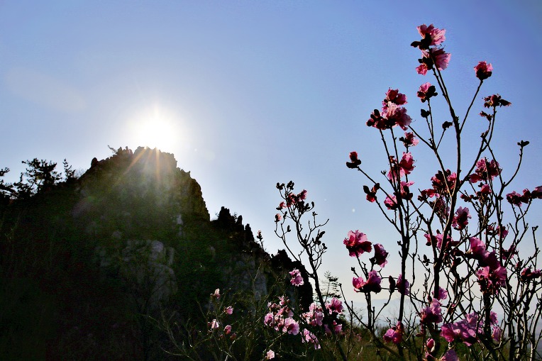 주작산 (전남 강진)