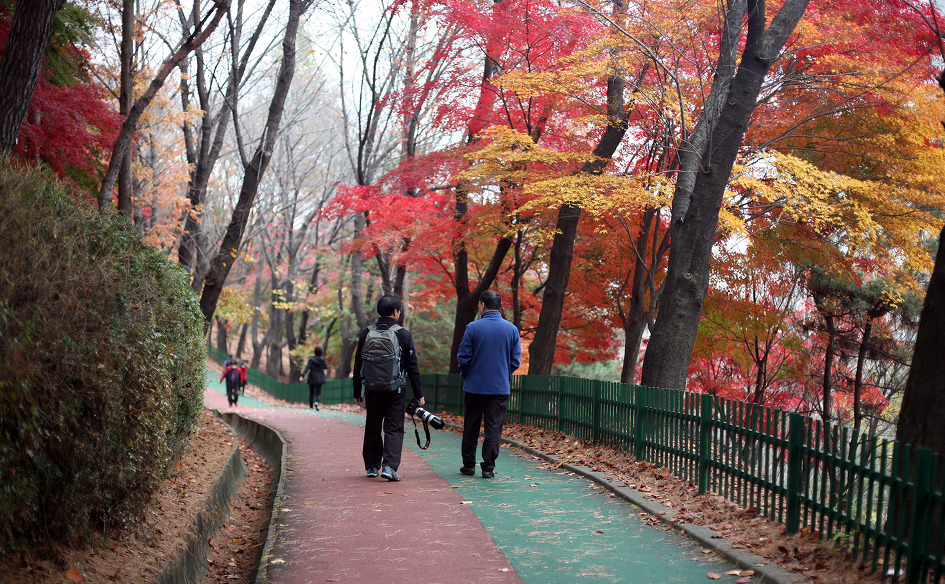 안산 노적봉
