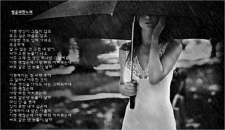 비와 당신 / CJ자유소년님 