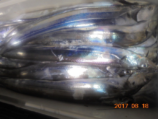 99615D3359965052205E1A