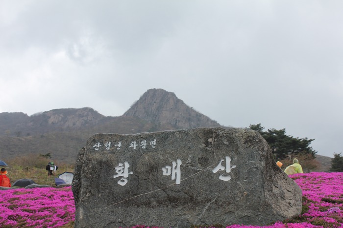 원본이미지(클릭)