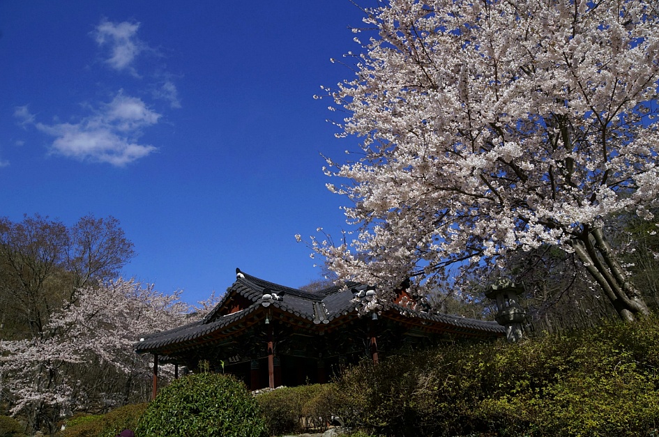 영취산 시루봉