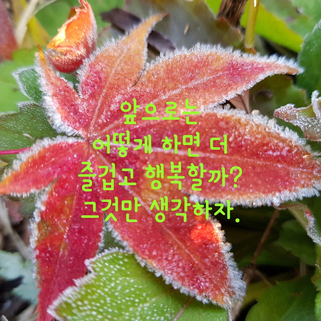 하는일 마다 잘 되는 운 좋은  사람이 되고 싶다면?