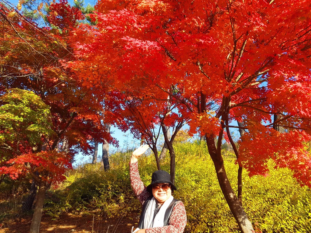 골프장 구경은 즐거워~~♡문막 센츄리21CC