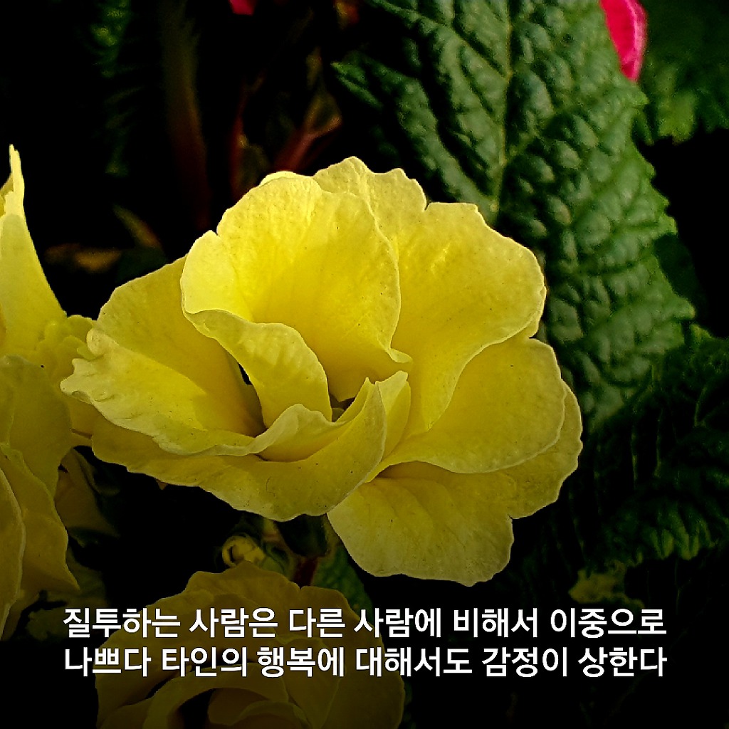 돈을 빌려주면 