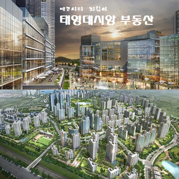 블로그 이미지