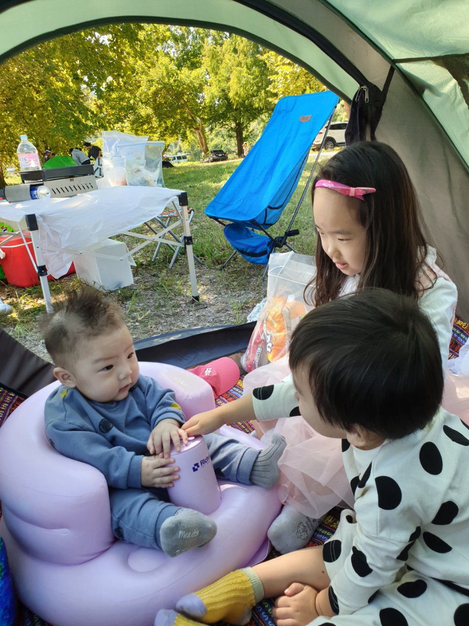 예쁜 강아지들