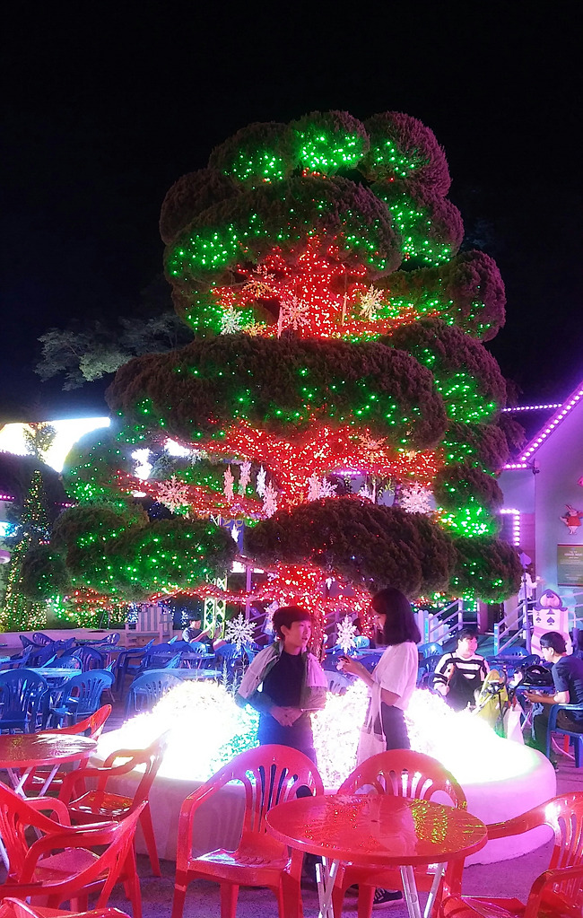 청도 블루길낚시, 청도 프로방스