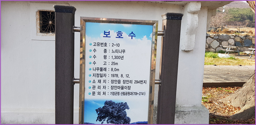 가버린 가을,장안사의 풍경