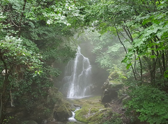 환선봉에서 이미지