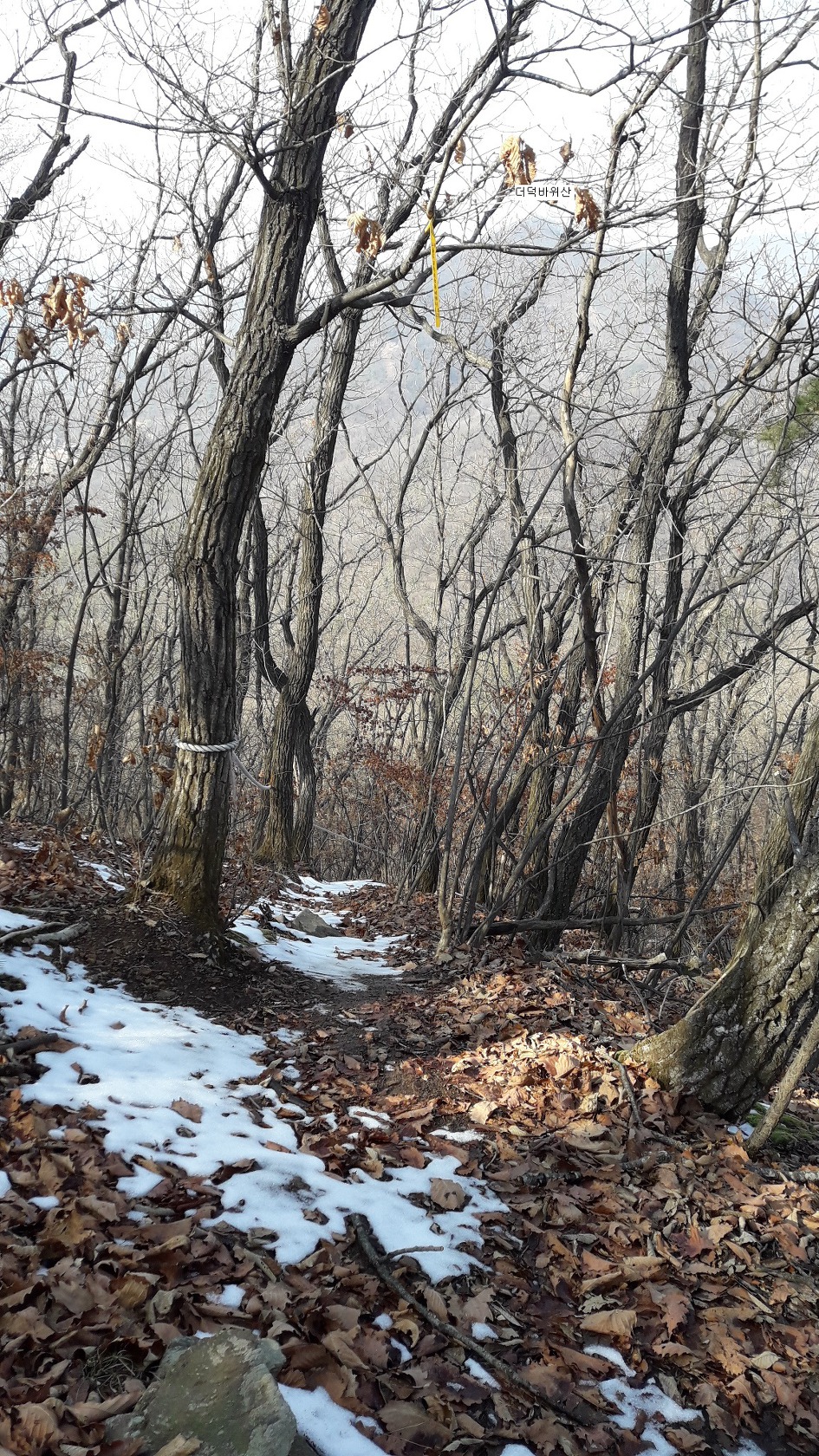 이천 양각산에서 해룡산 산길이 어려웠다(2019년2월24일)