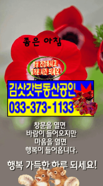 블로그 이미지