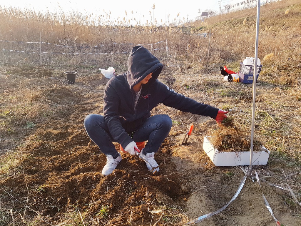 고성,삼척 대 화재 발생, 식목일 날인데...