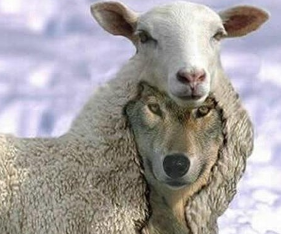 종교에 관한 명언