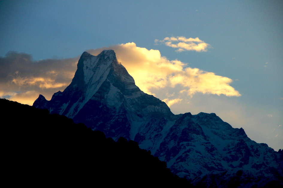 안나푸르나 ABC와 푼힐 5일차(19.3.19) 랄리구라스와 함께 천국길을 걷다..