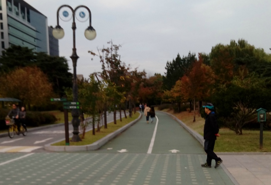 내 마음은
