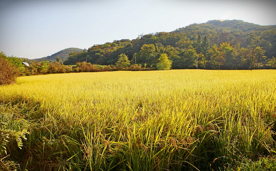 만추의 풍경