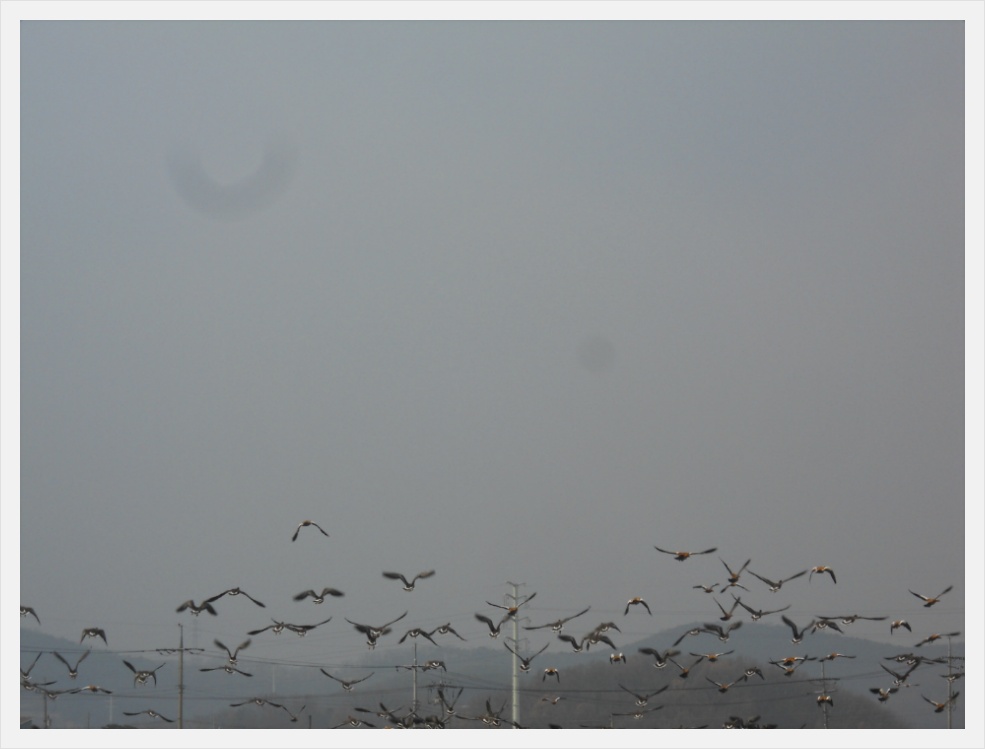 새봄이 늦게오는 맨드리네 전원.4월에겨우 ??..ㅎㅎ