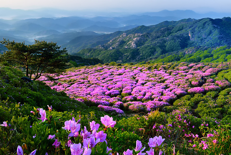 산그리메 이미지