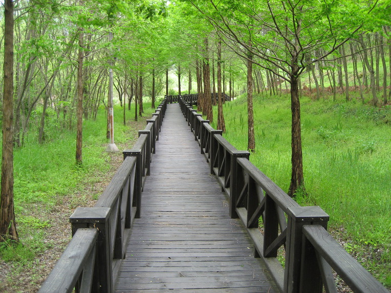 누구나 혼자고 자신의 행복을 책임져줄 사람은 오로지 자기 자신...