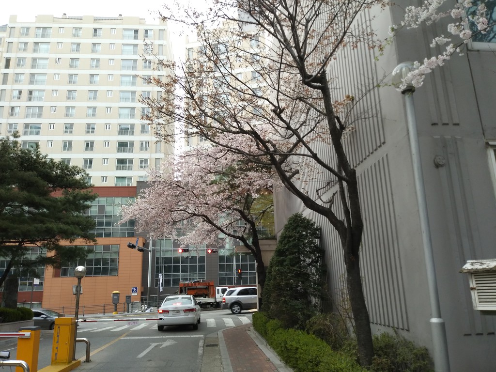 19.4.9(화)