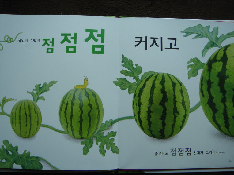 그레이트북스놀라운자연, 자연학습장이네요.놀라운자연 입니다.