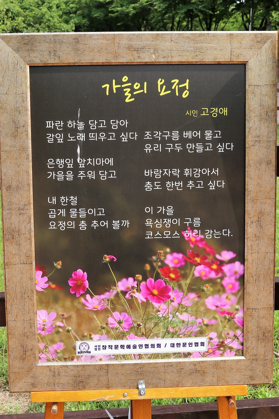 가을의 요정      (시인 고경애) 
