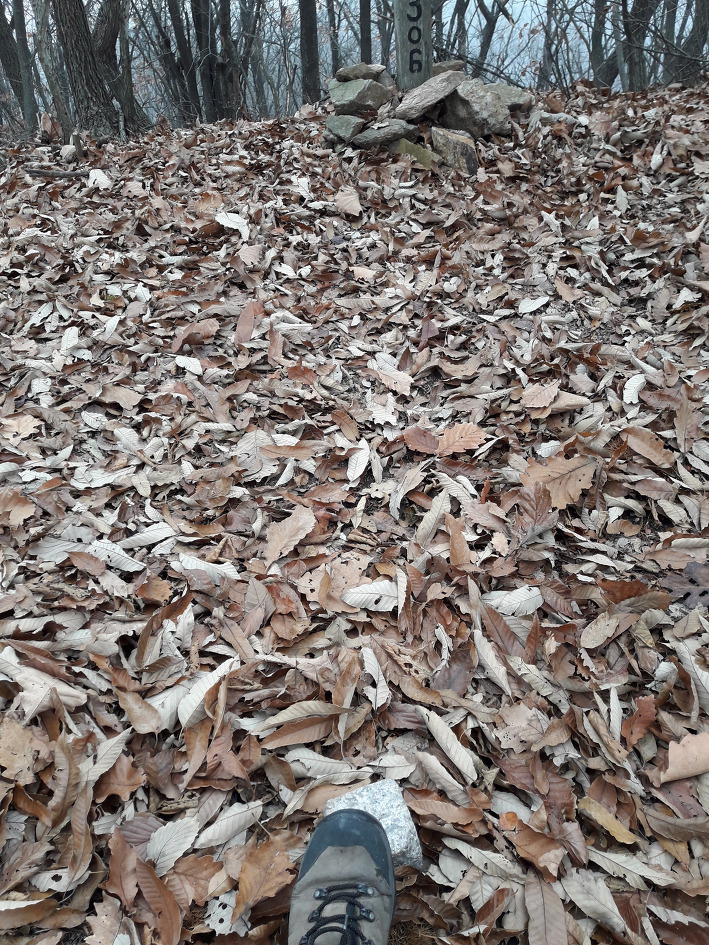 낙엽쌓인 화성 무봉산,함봉산(2018년11월11일)