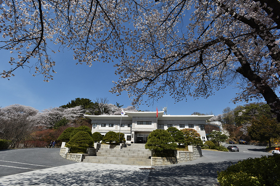 국립현충원의 봄