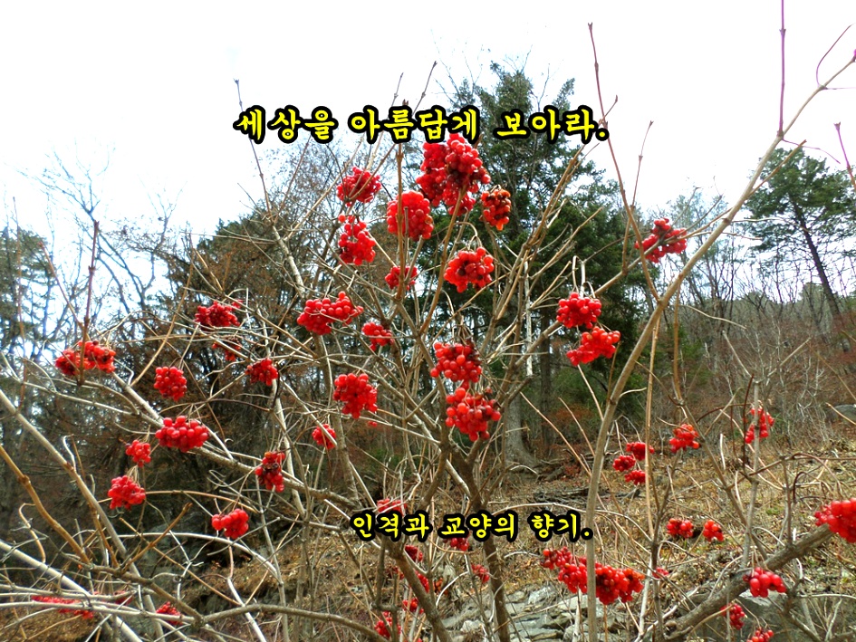 세상을 아름답게 보아라 : 7분 명상 