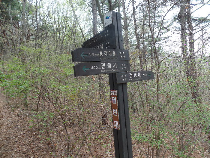 1045- 慶州 南山 고위봉(高位峯:494m)을 다녀왔어요.