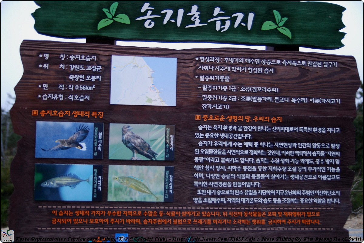 110E33224B3733D256E7C2